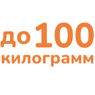 До 100 кг электромотоцикл для новичка